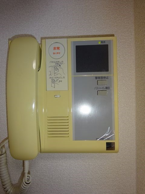 ペルシャモン上水 その他4