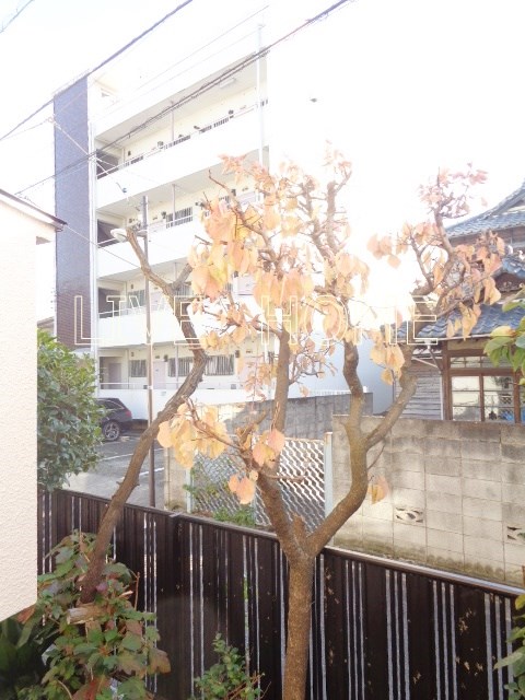 その他6