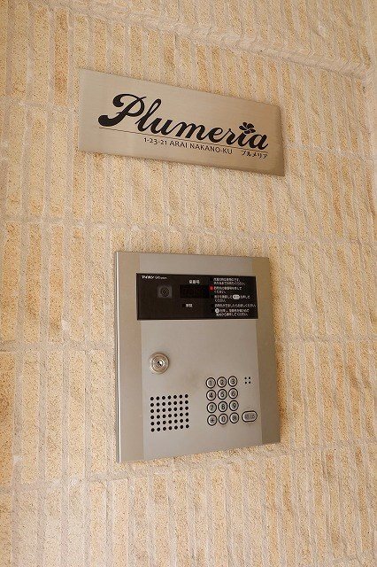 Plumeria（プルメリア） その他7