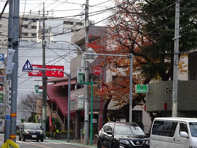 富士見町１丁目戸建貸家（北） 周辺画像1