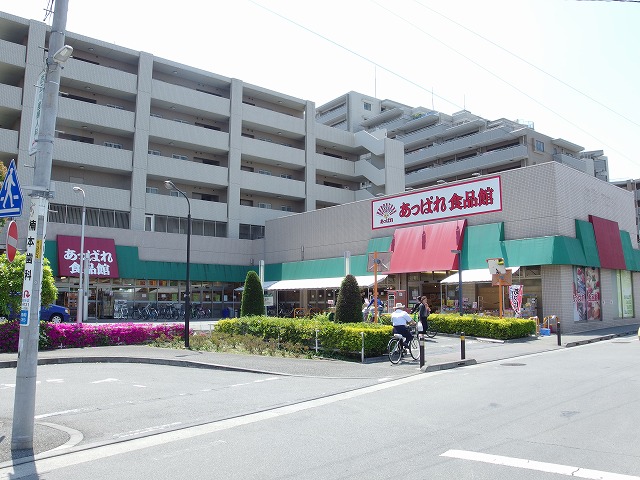 富士見町１丁目戸建貸家（南） 周辺画像4