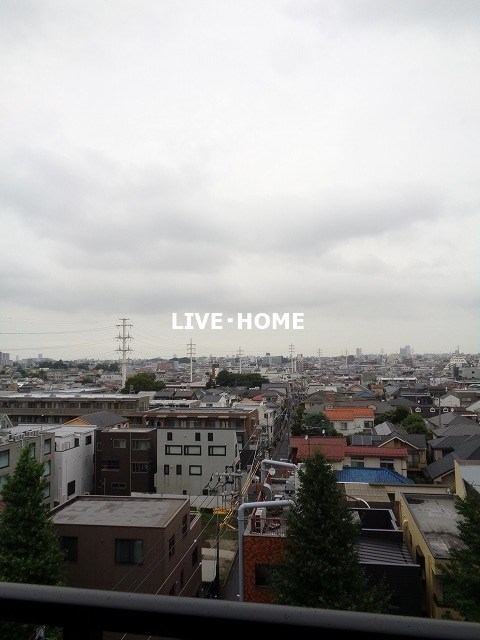 その他20