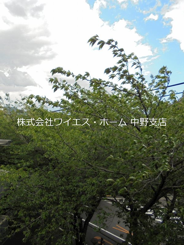 その他7