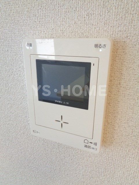 Ficus-retusa その他6