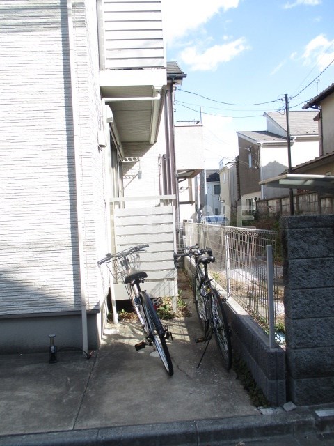 Ficus-retusa その他8