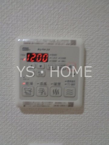 シャインピーチ  その他19