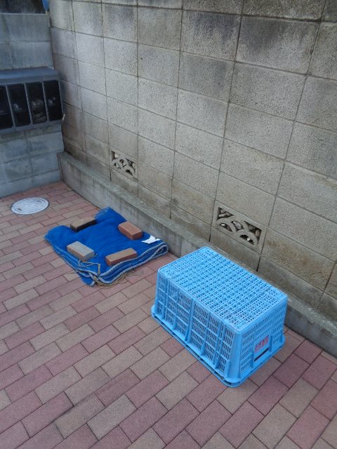 サンシャイン その他8