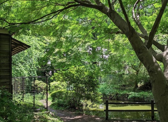 東京都小金井市緑町２丁目 公園