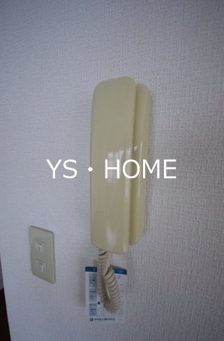 ピソ　クリサンテモ その他3