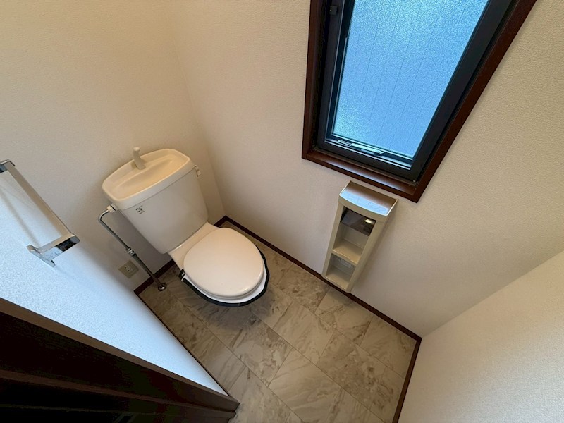 セントポーリア その他1