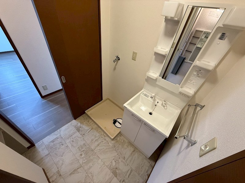 セントポーリア その他2