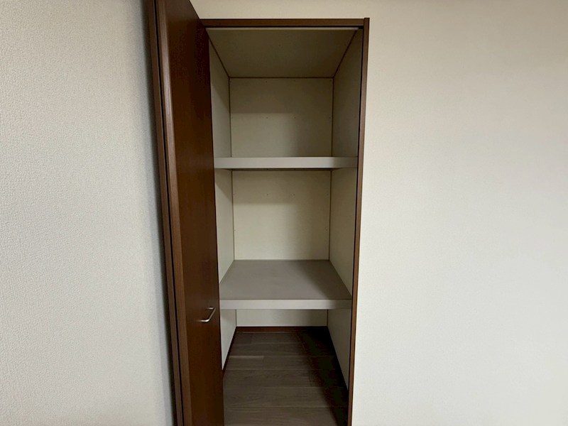 セントポーリア その他3