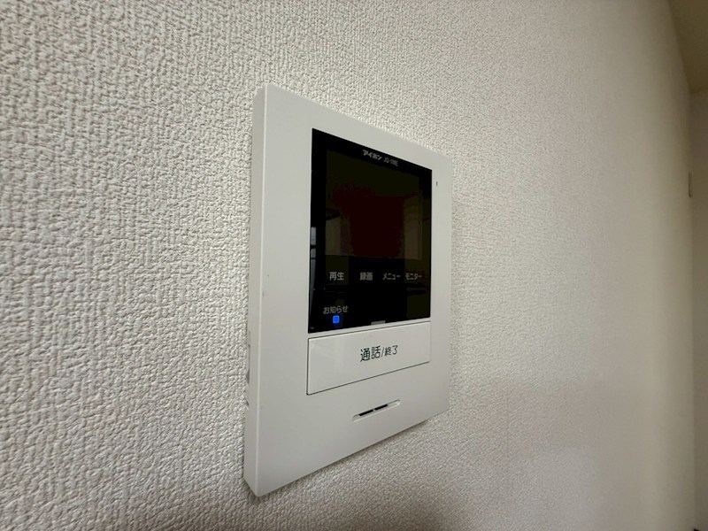 セントポーリア その他5