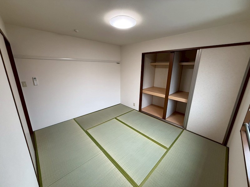 セントポーリア その他10