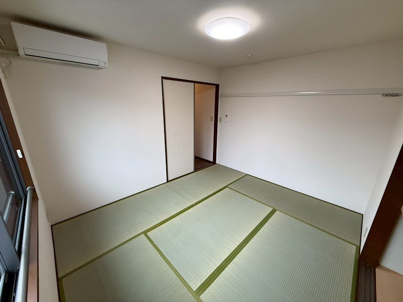 セントポーリア その他11