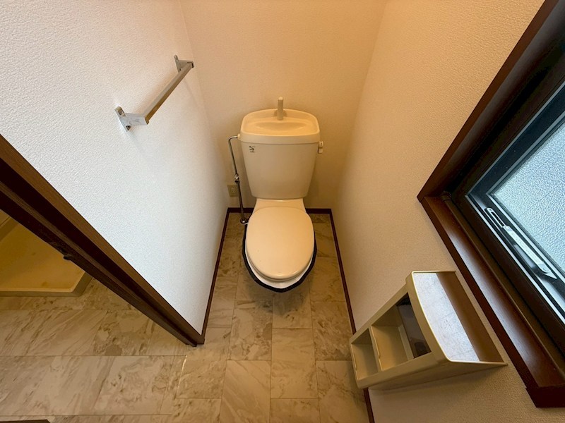 セントポーリア その他12