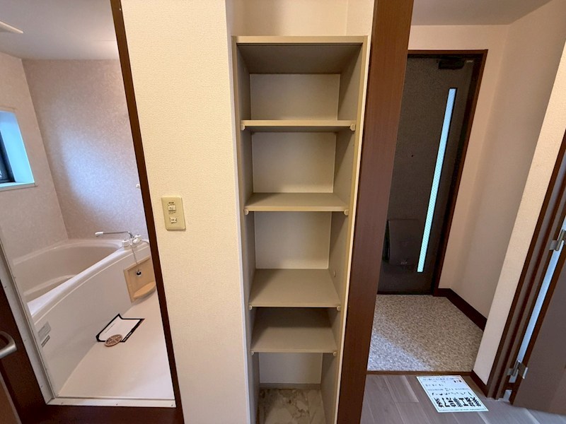 セントポーリア その他13