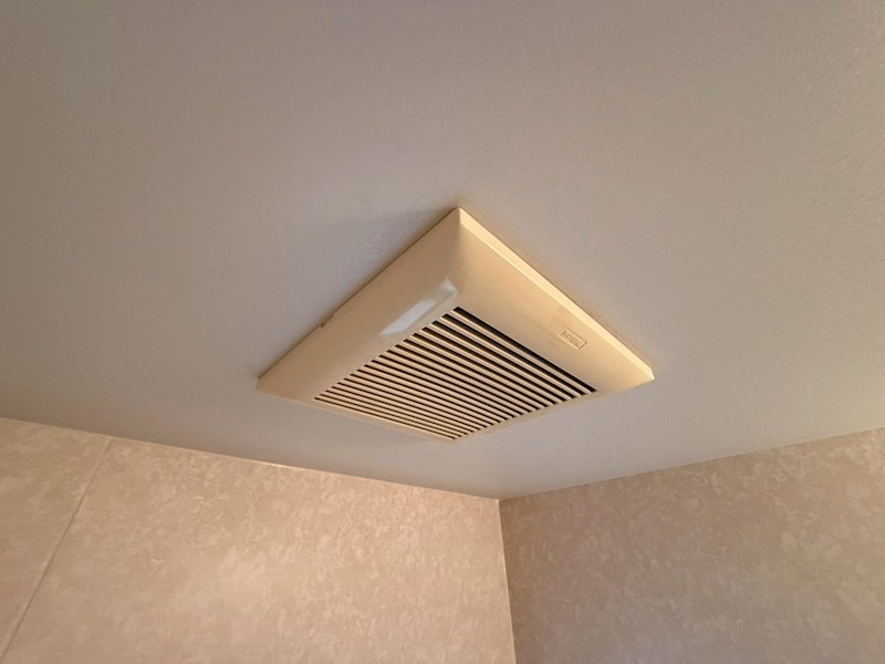 セントポーリア その他14