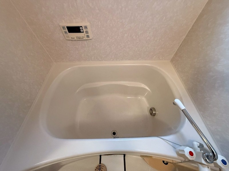 セントポーリア その他15