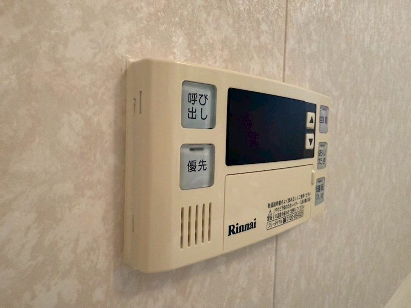 セントポーリア その他16