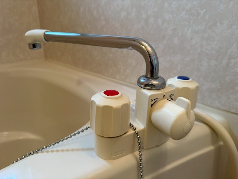 セントポーリア その他17