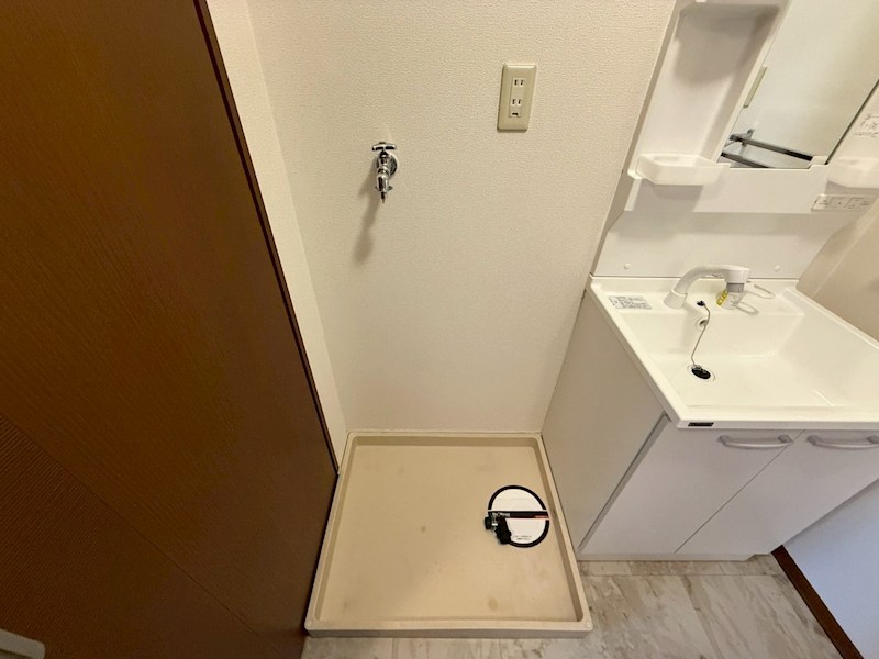 セントポーリア その他18