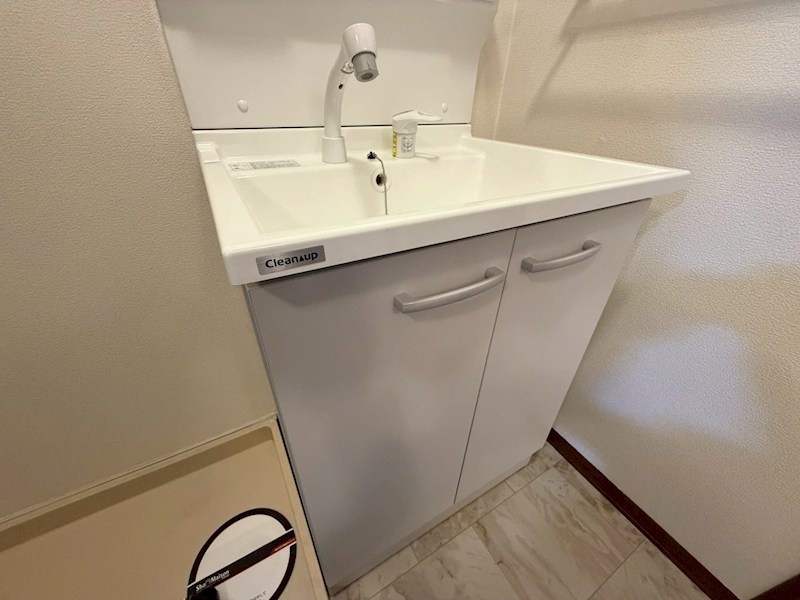 セントポーリア その他19