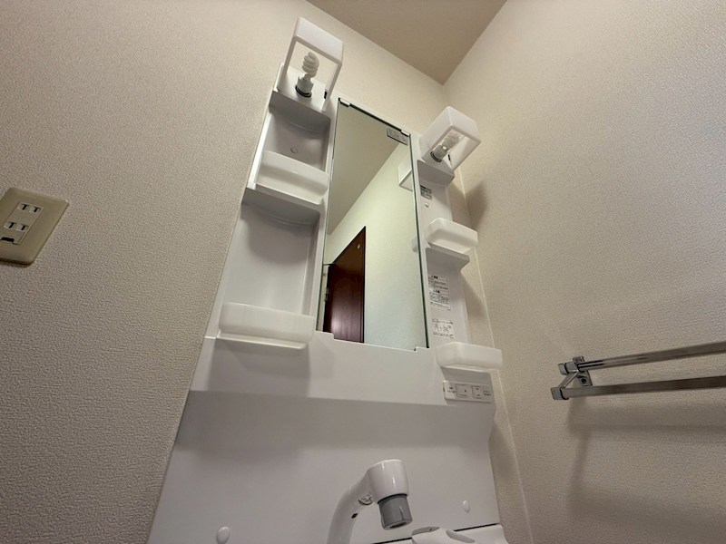 セントポーリア その他20