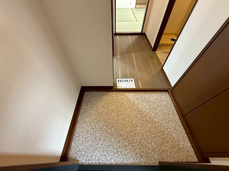 セントポーリア その他22