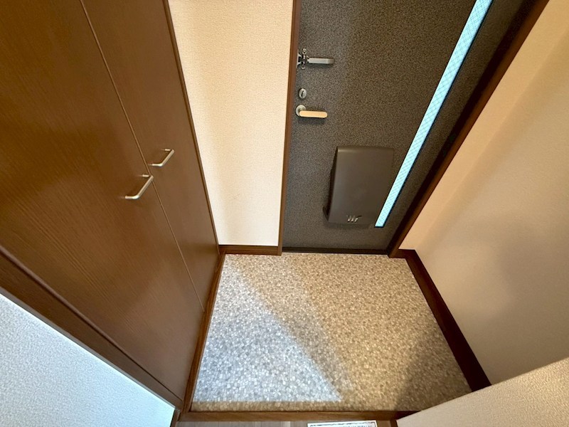 セントポーリア その他23