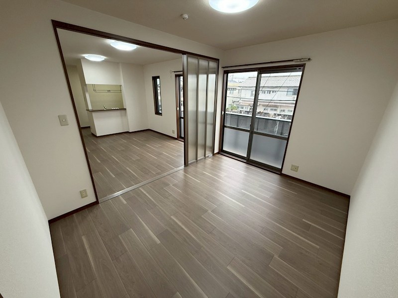 セントポーリア その他24