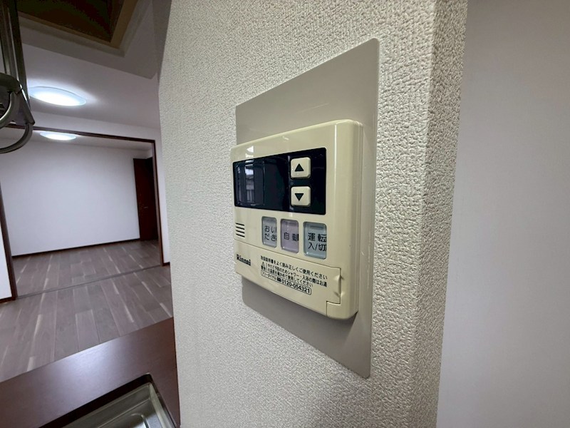 セントポーリア その他28