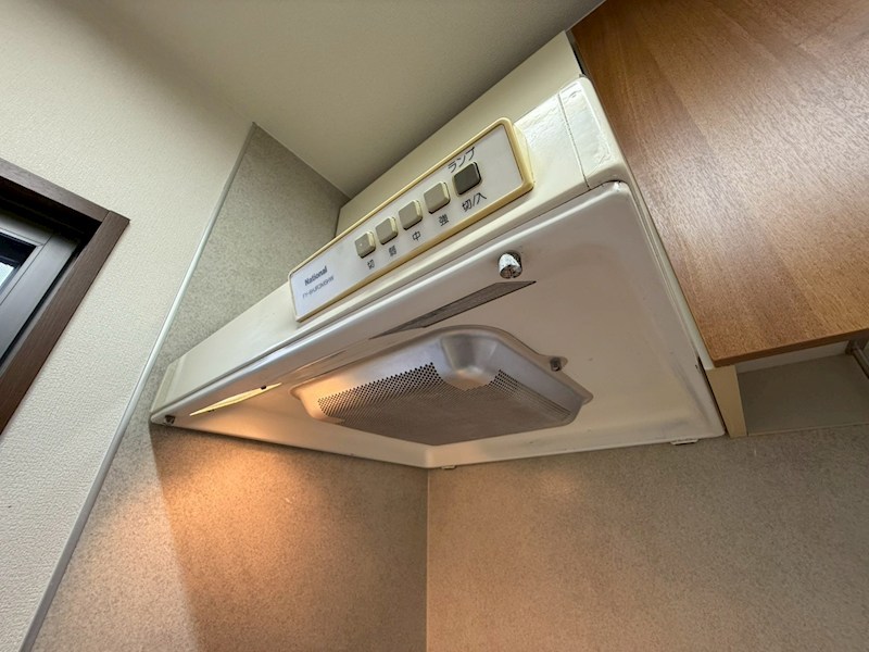 セントポーリア その他30