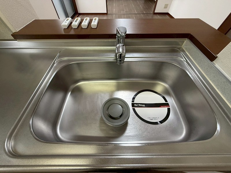 セントポーリア その他31