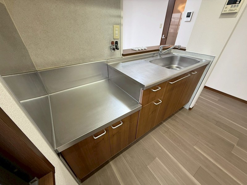 セントポーリア その他32