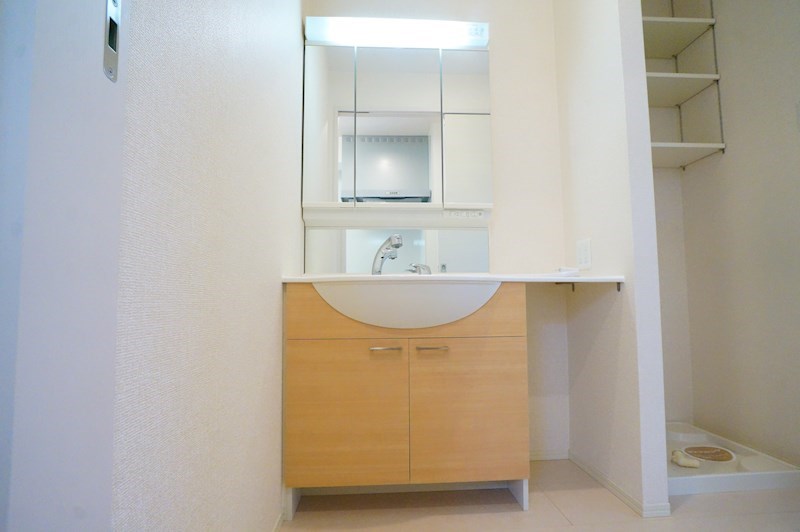 プラムコート大安寺　Ａ棟 その他30