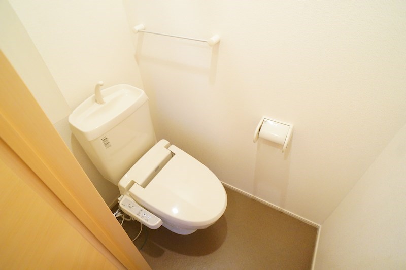 ノース　アンシェント その他1