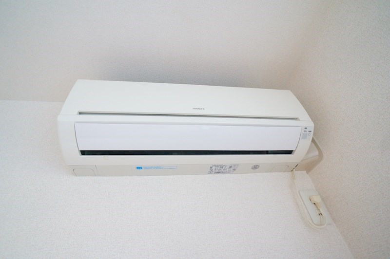 ノース　アンシェント その他4