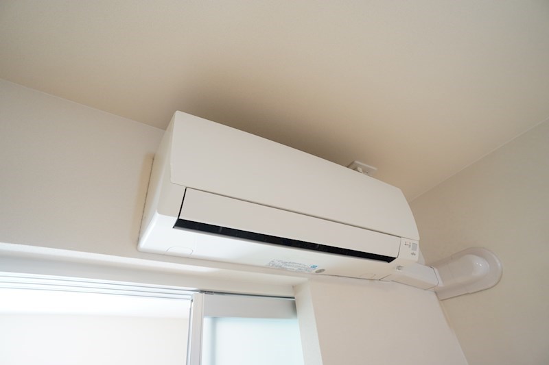 フィーカス　メモリア その他3