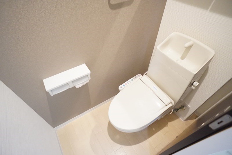 フィーカス　メモリア その他5