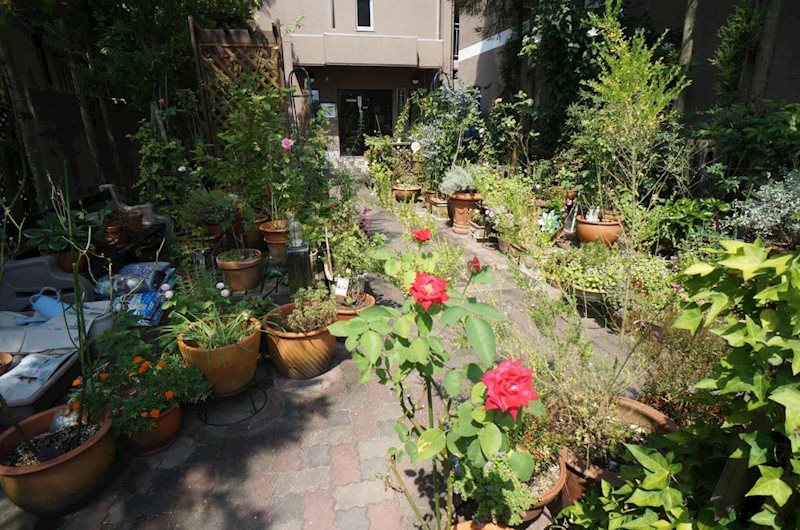 Lakia　Maison　木津川 その他外観4