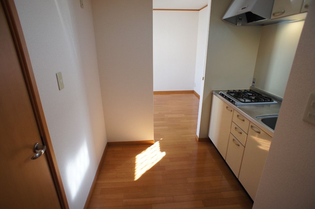 ルーチェ本町 その他3