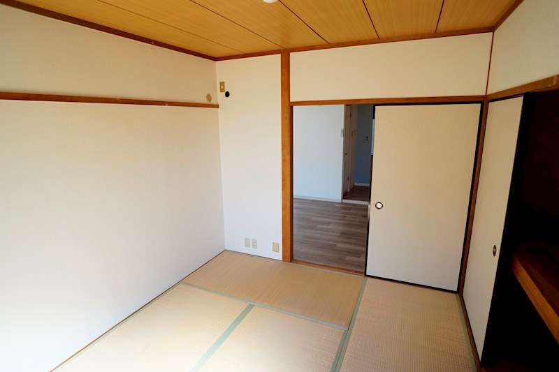 VITA壱分 その他30