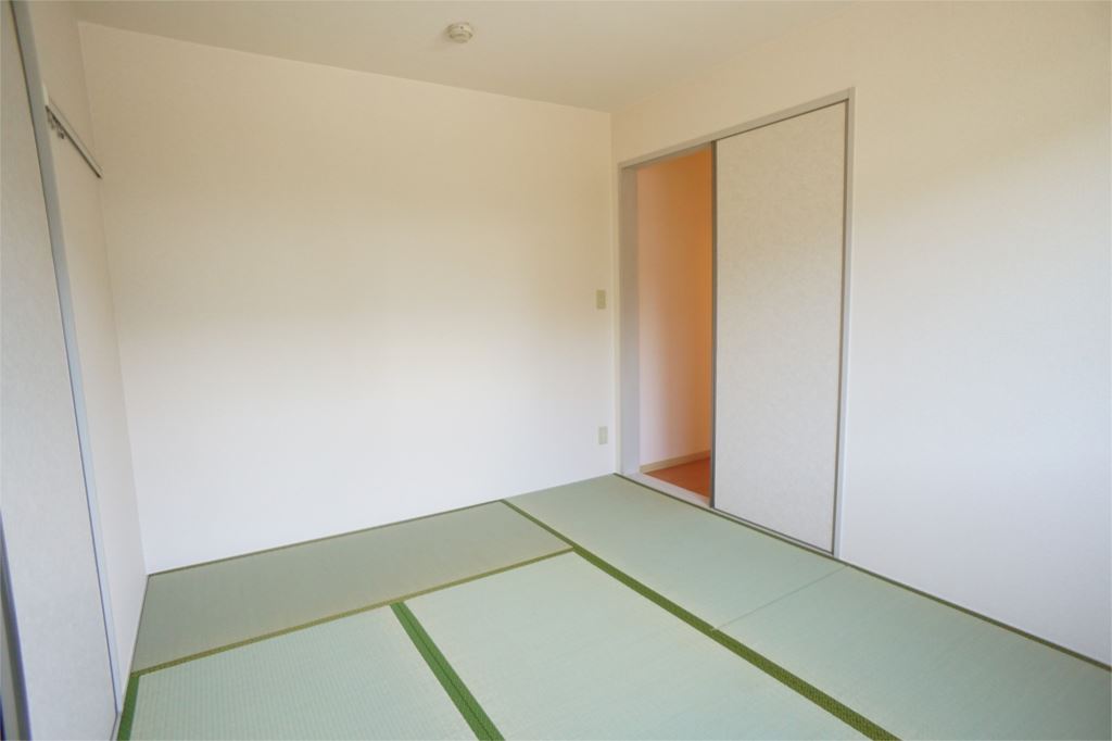 その他11