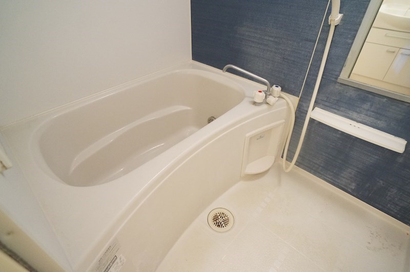 ロイヤルパレス 風呂画像