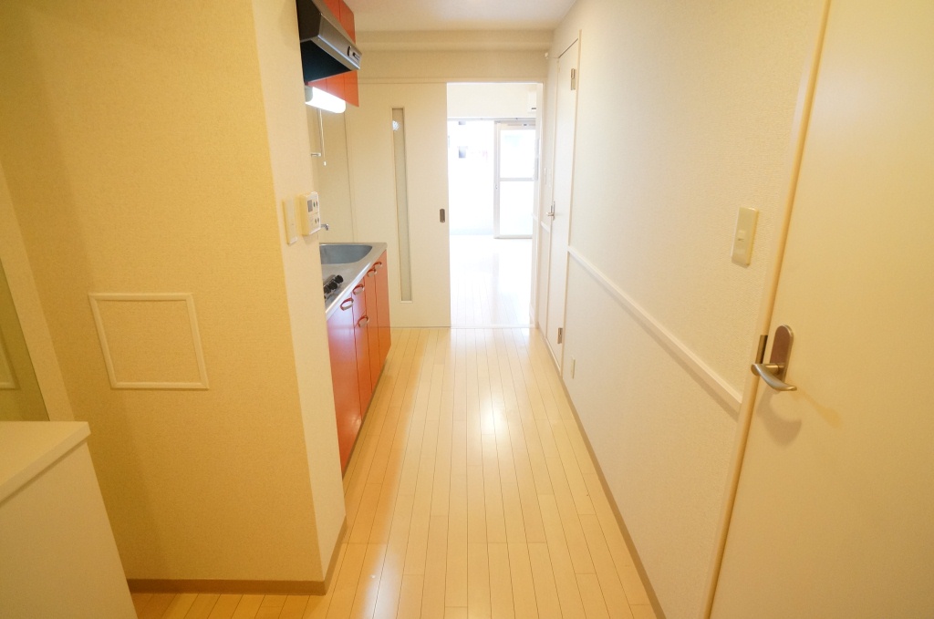 フルーア　ケイ その他13