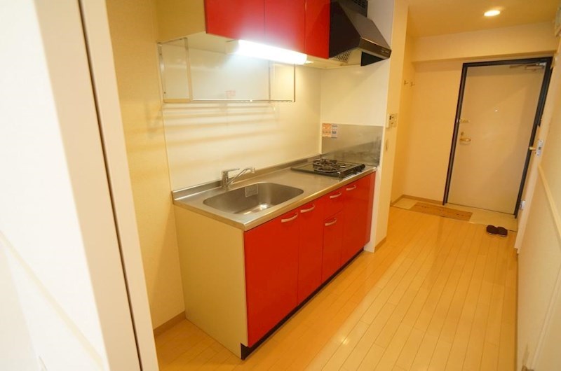 フルーア　ケイ その他15