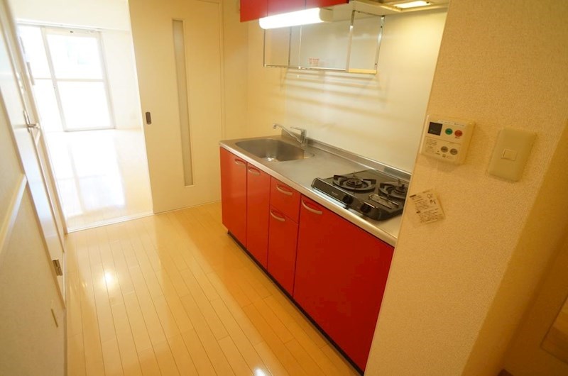 フルーア　ケイ その他18