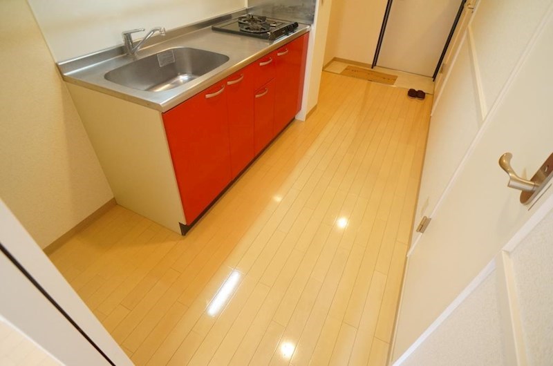 フルーア　ケイ その他20