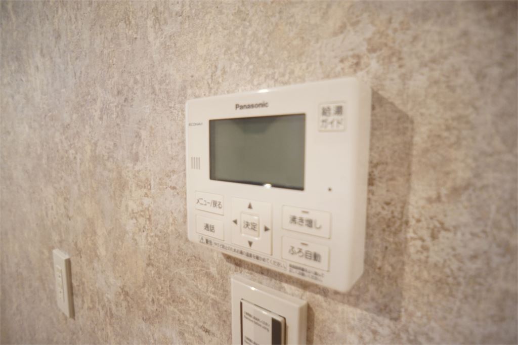 Ｒａｄｈｕｓ　Ａｍａｇａｔｓｕｊｉ その他10